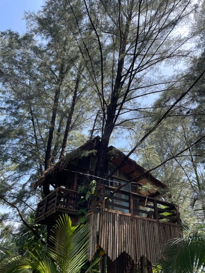 A treehouse structure is seen partially obscured by the branches of trees, which are visible against a blue sky. The treehouse is made of wood, with corrugated siding and a window visible in a slightly rundown state. Part of a palm frond is visible on the right side. The image was taken in Monikeun, Indonesia, which is implied.