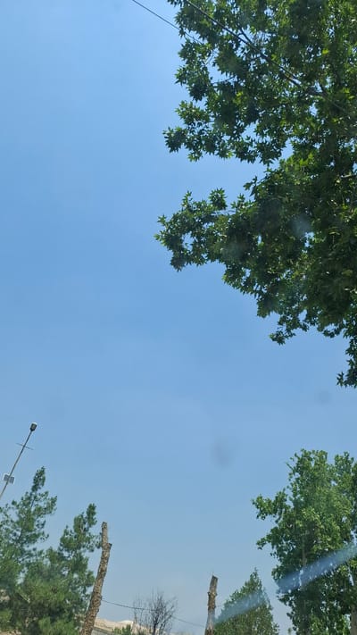 The image is an upward-facing shot of a clear blue sky with trees and some infrastructure visible. The framing suggests a low angle looking up from the ground.

The primary subjects are the lush green foliage of trees, predominantly in the upper left and lower right portions of the frame. In the upper left, a dense canopy of broad, green leaves is visible. In the lower right, a conifer tree with dark green needles is present, along with a stark, bare tree trunk that appears to have been cut. Further up in the sky to the right, parts of another tree with green leaves can be seen.

Man-made objects include a street light with a solar panel attached, positioned in the lower left quadrant of the image. There is also a wire extending from the upper left, likely part of an electrical or telecommunication line. In the background, beyond the trees and sky, there are hints of a landscape with some dry vegetation and possibly structures, suggesting a semi-urban or rural setting.

The scene depicts an outdoor environment on a clear day, indicated by the bright blue sky with no visible clouds. The sunlight appears to be strong, judging by the contrast and illumination of the leaves. The time of day is likely daytime, possibly midday or early afternoon, given the brightness of the sky. There are no people or animals visible.

Notable details include the stark contrast between the vibrant green of the living trees and the desolation of the bare tree trunk. The presence of the solar-powered street light suggests a modern infrastructure element in what might be a developed area, despite the natural elements. The image captures a serene and calm atmosphere, focused on the natural beauty of the sky and trees contrasted with man-made elements.

No visible text is present in the image. The location context provided is Kuvasay, Uzbekistan.