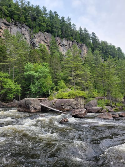 The image depicts a rugged natural landscape along a river. A sheer, rocky cliff face dominates the background, covered with lush green coniferous trees along its upper edge. In the mid-ground, a dense forest of pine trees grows on a rocky outcrop adjacent to the river. The river itself flows rapidly, with white water churning over submerged rocks. Several large boulders are scattered along the riverbank and in the water, with a fallen log resting across some of them. The sky above is overcast. The scene is likely located in a wilderness area or park, consistent with the natural beauty found in regions like Saint-Alban, Canada, known for its forests and rivers. There are no people or animals visible in the image.
