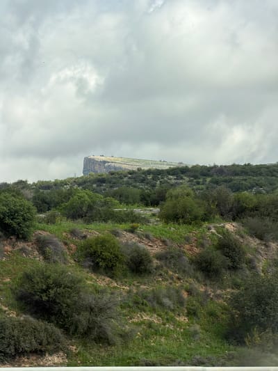 This image captures a wide view of a rugged, vegetated landscape within the Merom HaGalil Regional Council, Israel, under an overcast sky. A prominent, flat-topped rock formation or plateau dominates the distant mid-ground, displaying a sheer, light-colored cliff face on its left side. The top surface of this plateau is relatively flat, covered with sparse green vegetation and lighter ground, gently sloping downwards to the right.
The terrain leading up to the plateau, and filling the foreground and mid-ground, consists of undulating hills densely covered with a variety of green shrubs and small trees. Patches of lighter green grass and some yellow wildflowers are interspersed throughout the vegetation. Exposed reddish-brown soil is visible on numerous slopes. A thin, dark, vertical structure, possibly a utility pole, is faintly discernible near the base of the distant cliff on the left.
The sky is entirely filled with dense, light grey clouds, indicating overcast conditions. A small, dark speck, consistent with a bird, is visible in the upper left portion of the cloudy sky. The very bottom of the frame reveals a blurred, horizontal light grey line, suggesting the perspective is from alongside a road or an elevated barrier. No people or active interactions are visible.