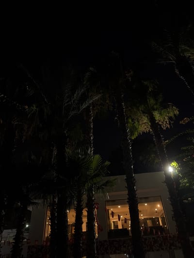 At night in Sousse, Tunisia, palm trees obscure a low-rise building with large windows that are illuminated from within. The building's facade is adorned with a repeating pattern of red and white elements. Small flags, predominantly red with white crescents and stars, are strung along the front of the building and also hang in the windows. A street lamp shines brightly to the right, illuminating the foliage of a palm tree. The overall scene is dark, with the light from the building and the street lamp providing the primary illumination.
