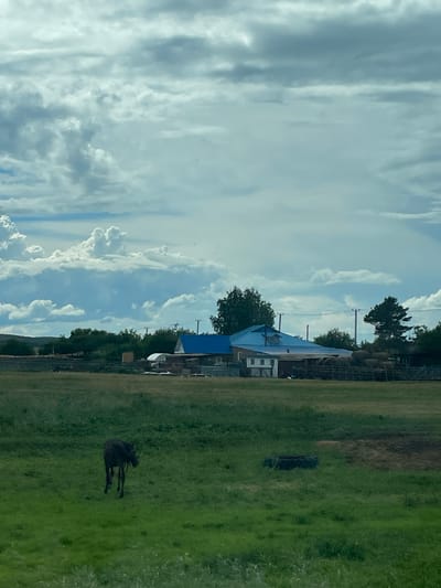 A lone, dark-colored bovine stands facing away from the viewer in a grassy field. In the middle ground, a farm complex with buildings featuring bright blue roofs is visible, bordered by a wooden fence and surrounded by trees. Power lines and utility poles are scattered across the landscape. The sky is filled with dramatic, grey and white clouds, suggesting an overcast or stormy day. The scene appears to be a rural landscape.