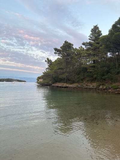 This is a wide-angle, eye-level, vertical photograph of a calm bay with a tree-lined shore in Jelsa, Croatia, likely taken during the golden hour as evidenced by the soft light and pastel hues in the sky. The foreground is dominated by shallow, clear water, revealing a sandy bottom with patches of darker sediment or seaweed. The water is gently rippled, reflecting the sky and the trees.
To the right, the shore is rocky and densely covered with mature pine trees and other green foliage, creating a lush, natural barrier. A small, light-colored structure with a brown roof is visible nestled among the trees. In the distance, across the bay, is a mountainous coastline under a pale sky streaked with wispy, pink and grey clouds. Several sailboats are anchored in the bay, their masts and sails visible against the distant landmass.
The scene is serene and devoid of human activity, focusing entirely on the natural beauty of the coastal landscape. The overall impression is one of tranquility and unspoiled nature.