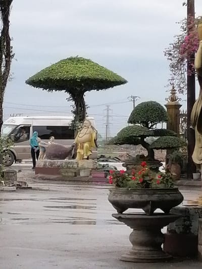 This image shows a view in Chu Văn An Ward, Vietnam. The scene features a roadside area with statuary, trees, and people. In the background, a white van is parked near a sculpture depicting a man with an animal, and two individuals are interacting with the statue. One person is wearing a bright blue hooded jacket. To the right, there's a lush, multi-tiered bonsai tree in a decorative planter, with red flowers in the planter. Further to the right, a golden statue is partially visible. The ground is wet, suggesting recent rain, with reflections visible in the puddles. Utility poles and wires are visible in the distance.