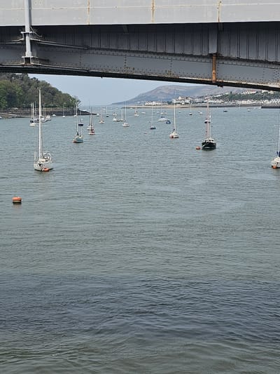 This image, taken from a high vantage point on a bridge structure in Llandudno Junction, United Kingdom, shows a waterway with numerous sailboats anchored and scattered across the water. The boats are mainly white, with some having colored accents. The surface of the water has light ripples and variations in shading, suggesting a subtle current or wind.

On the left side of the frame, a portion of the bridge structure is visible, constructed of gray metal plates and beams. The bridge appears to be substantial in size and possibly made of steel or similar material. The opposite shoreline is lined with buildings and vegetation. A line of trees follows the edge of the water. The buildings are mostly light-colored, potentially houses or commercial structures. The horizon is somewhat hazy, with a pale sky.