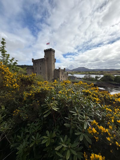A tall, stone castle with towers sits nestled amongst yellow flowering bushes and green trees, against a backdrop of a cloudy sky and distant landscape. The castle is pale gray and rectangular, with small windows and a flag flying atop the tallest tower. The foreground is filled with dense greenery and bright yellow flowers. A body of water and mountainous landscape is visible in the background beneath the cloudy sky. This is most likely the Dunvegan Castle, in Dunvegan, Scotland.