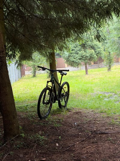 An outdoor scene depicts a dark-colored mountain bicycle parked under the branches of a large conifer tree. The bicycle is positioned on a ground covered with pine needles and dry leaves, adjacent to a grassy area. In the background, there are more conifer trees and a fence made of corrugated metal and brick. The overall impression is of a natural setting, possibly a backyard or a park in the village of Martem'yanovo, Russia. There are no people or animals visible in the image.