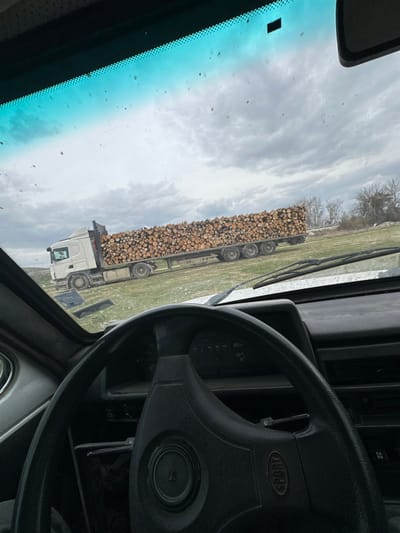 The image depicts a rural scene, viewed from inside a vehicle through a dirty, blue-tinted windshield, located in Tsenovo, Bulgaria. A white semi-trailer truck with a flatbed trailer is stationary on an uneven grassy field, positioned to the left of the frame. The trailer is fully loaded with a dense, horizontal stack of cut logs, consistent with firewood. In the background, a light-colored field extends towards a distant line of bare trees, all under an overcast sky. The immediate foreground reveals interior components of the viewing vehicle, including a portion of a black steering wheel marked "SPORT" and sections of the dashboard. No individuals are visible.