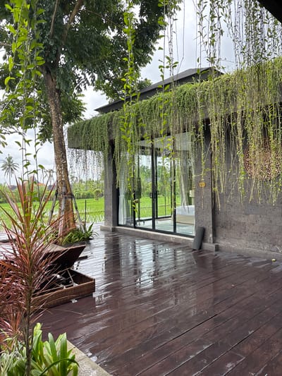 A modern building with extensive greenery hangs from its roof. Large glass doors reveal a lush green landscape. Adjacent to the building, a wooden deck glistens from moisture. The surrounding flora includes trees, palms, and various plants in shades of green and red. The scene conveys a blend of contemporary architecture and nature.