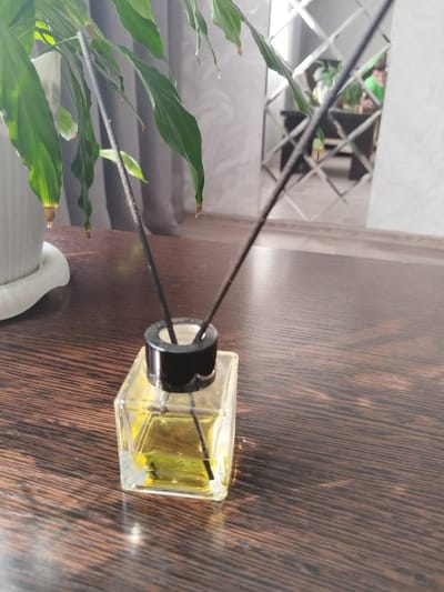A close-up, eye-level shot captures a square glass bottle filled with yellow liquid and reed diffusers, resting on a dark wood surface. The bottle is positioned in the lower right of the frame, with two black reed diffusers extending upwards. To the left of the bottle, a white pot containing a lush green plant with long, drooping leaves is visible. The background is softly blurred, showing a hint of a mirrored wall with diamond-shaped panes and the reflection of a room beyond, including furniture and a person wearing a green shirt. The lighting suggests an indoor environment, possibly a home or office space. The scene does not depict any elements that would specifically place it in Bezlesnyy, Russia.