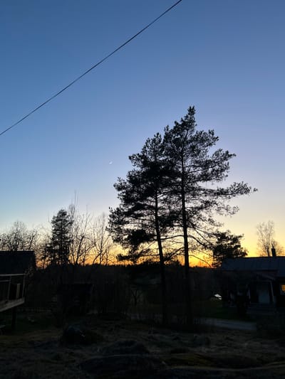 The image depicts a rural scene at twilight. Silhouetted trees dominate the foreground against a gradient sky transitioning from blue to orange. A crescent moon is visible. In the background, a house is partially obscured by the trees. A power line runs across the lower left corner. The location is potentially Gränsta, Sweden.