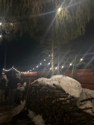 This nighttime image depicts an outdoor gathering in Lesnoy, Russia, characterized by a cold-weather environment. The scene is illuminated by string lights with round bulbs, strung overhead between coniferous trees and posts, creating starburst effects from their luminescence. The sky above is dark and clear.
In the mid-ground, a wooden fence spans horizontally, separating the gathering area from a dense cluster of taller coniferous trees further back. The ground in the foreground is a mix of bare earth and patches of snow. To the right, a large, neatly stacked pile of cut logs (firewood) dominates the foreground, with a significant amount of irregular snow accumulated on its top and right side. A dark-colored shovel or tool is leaning against the left side of this log pile. A small, dark-furred animal, possibly a dog, is visible on the ground in front of the log pile, facing the gathering.
To the left of the log pile, a group of at least four individuals is congregated. One person on the far left wears a light-colored hat and jacket. Another individual, wearing a dark jacket and trousers, stands with their back mostly to the camera, appearing to lean over a low surface or table. A white, rectangular object, possibly a cooler or container, is visible on this surface. Partially obscured individuals are seen further to the left and behind this central figure. The individuals appear to be engaged in a social gathering, possibly preparing or consuming items from the table. The overall scene suggests an informal outdoor event during winter conditions.