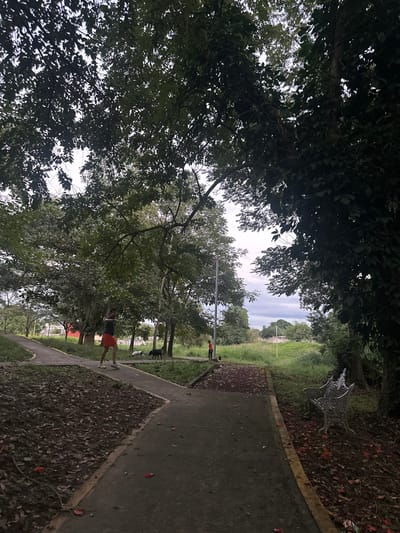 A sidewalk stretches into the distance, lined with trees. One person in orange shorts walks on the right side of the path. Several figures further down are partially obscured by trees. A bench sits on the right side near the start of the sidewalk. The sky is visible in the distance at the end of the path. Leaves are scattered on the ground on both sides of the path.