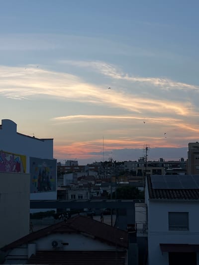 This is a vertical, eye-level medium shot taken at dusk, overlooking a city landscape. The sky is a gradient of soft blues and pastel oranges, with wispy clouds and several birds in flight. In the foreground, the rooftops of buildings are visible, some with red tiles and others with flat surfaces. One building on the left features a white facade adorned with colorful graffiti. Further into the cityscape, rows of buildings of varying heights create a dense urban environment. Some structures have visible solar panels on their roofs. The lighting suggests the last moments of daylight. The image appears to be captured from a rooftop in Mollet del Vallès, Spain, given the architectural style and typical urban density.