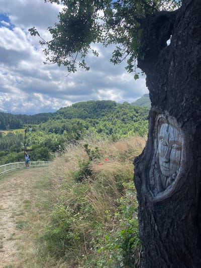 The image depicts a close-up of a tree trunk with a carved face, set against a backdrop of lush green hills and a cloudy sky. In the mid-ground, a person stands on a path next to a white railing, looking towards the landscape. The path is lined with dry grass and some vegetation. The tree trunk occupies the right side of the frame, with the carved face clearly visible within a hollowed-out section. The background features a dense forest covering rolling hills. The scene appears to be an outdoor location, possibly a park or a viewpoint, in Tserovo, Bulgaria, given the distinctive landscape and the potential for carved artwork on trees in such areas.