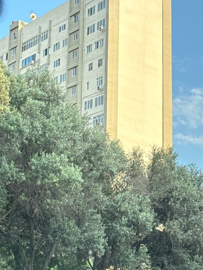 The image is an upside-down, eye-level shot of a building and trees against a blue sky with some clouds. A tall, light yellow building with multiple rows of windows is on the left. The windows appear to be predominantly rectangular and are of various sizes and states, with some open and others closed. The building has a modern architectural style. To the right of the building, a dense canopy of green trees fills a significant portion of the frame. The leaves are a light to medium green and appear to be from an evergreen tree. The sun appears to be shining, casting shadows from the trees onto the building, suggesting it is daytime. The sky is a clear blue, with some wispy white clouds visible. The overall impression is that of an urban or suburban setting, likely in a place with a good amount of sunshine and vegetation. The image quality is slightly grainy. No people or specific activities are depicted. There is no visible text. The location context provided is Baku, Azerbaijan.