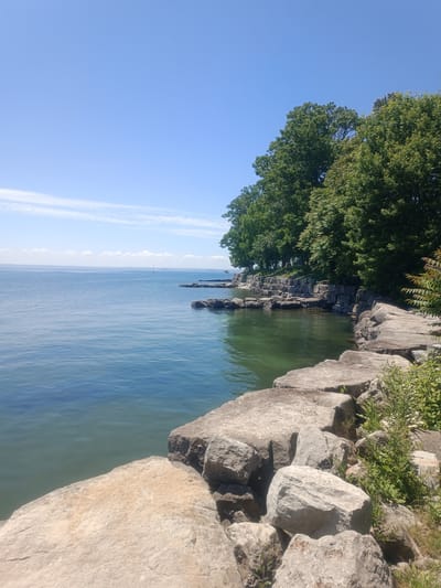 This is a photograph of a rocky shoreline on Lake Ontario in Oakville, Canada. The water is a clear blue-green, with gentle waves lapping against the shore. Large, grey rocks form a natural barrier along the edge of the lake, and a dense line of lush green trees grows behind them. The sky is a bright, cloudless blue, indicating a sunny day. In the distance, a sailboat can be seen on the lake, and the faint outline of a city skyline is visible on the horizon. The overall scene evokes a sense of peace and natural beauty.