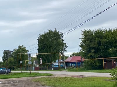 The image depicts a street scene in the village of Nadezhdino, Russia, under an overcast sky. In the foreground, a paved road curves to the right, with grassy verges on either side. A dark grey car is parked on the left side of the road.

Further into the scene, a yellow metal frame structure with a horizontal bar runs across the mid-ground. Attached to this structure are several traffic signs. On the left side of the frame, there are three circular signs stacked vertically. The bottom sign indicates a speed limit of "40". To the right of this, a traffic light with three circular lights is mounted on a yellow pole. Further to the right, another set of three circular traffic signs is visible, with the bottom one also displaying "40".

Behind the yellow frame, several houses are visible. A blue wooden house with a red roof stands prominently. To its left, a smaller white house with a dark roof is partially visible. A dark wooden fence runs along the front of the properties. Dense green trees and foliage are scattered throughout the background, with a very large, tall tree dominating the center-left of the image. Power lines stretch diagonally across the sky from the upper left to the upper right of the frame. The environment appears rural and somewhat weathered, with the overall impression being that of a quiet village street.