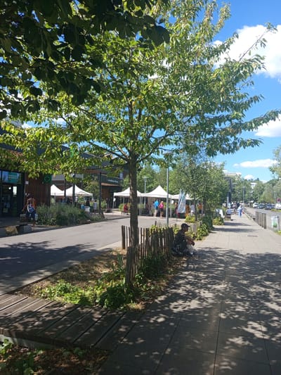 The image shows a street scene in Laxou, France, on a sunny day. In the foreground, a man is sitting on the sidewalk under a tree, leaning against a wooden fence. He is wearing a cap, a dark t-shirt, and shorts. Next to him are a backpack and a bottle. The sidewalk is paved with large gray tiles and is partially covered by the dappled shadows of tree leaves. A wooden-slatted platform is visible to the left of the sidewalk.
The street runs parallel to the sidewalk and is bordered by a grassy area with a low wooden fence. On the other side of the street, there are several white tents set up, suggesting an outdoor market or event. Behind the tents, buildings with glass windows and wooden facades are visible. One building has a sign that reads "PHARMACIE REFERENCE" and a green cross symbol, indicating a pharmacy. Another sign reads "Le Jardin des Fleurs," suggesting a flower shop. Further down the street, trees line the sidewalk, and parked cars are visible. The sky is blue with scattered white clouds. The overall impression is of a vibrant public space on a pleasant day.