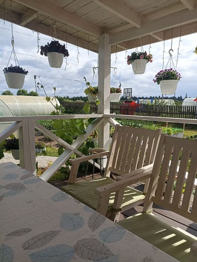 The image depicts a porch area of a dacha, likely in Shakhunya, Russia, as suggested by the architectural style and outdoor setting indicative of a rural or suburban Russian environment. The porch is furnished with a table covered by a tablecloth patterned with leaves, and two wooden chairs with light green cushions. Several hanging planters with various flowers, including dark purple and pink varieties, are suspended from the porch ceiling, adding a decorative element.
Beyond the porch, a garden area is visible, featuring greenery, flower beds, and pathways made of paving stones. A greenhouse with a translucent white covering stands prominently in the background, along with a wooden fence enclosing a section of the property. Other structures, possibly sheds or outbuildings, are also present in the distance, along with trees and a cloudy sky. The scene suggests a peaceful, domestic setting, likely during daytime in a temperate season. No people are visible in the image.