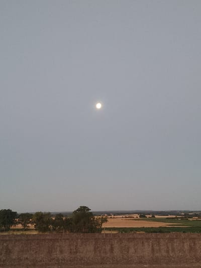The image is a photograph taken at dusk in Époisses, France. A bright full moon is visible in the upper center of the frame, against a pale gray sky. Below the sky, a horizontal line of trees forms a dark silhouette across the middle ground. Beyond the trees, a landscape of fields is visible, with patches of green and golden crops. In the foreground, a textured brown wall or embankment runs across the bottom of the image. The overall scene is peaceful and rural.