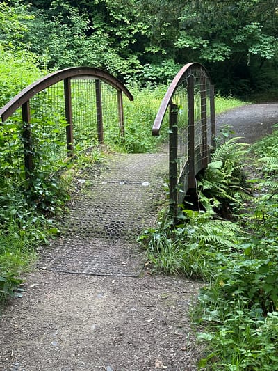 The image shows a view of a rustic arched bridge made of metal with a mesh walkway and railing, situated in a lush green wooded area. The bridge spans a small ditch or stream, with dense foliage and ferns growing on either side. A dirt path leads up to the bridge from the foreground. The overall scene suggests a natural, park-like setting. The location is identified as being in the townland of Coon, Castlecomer, Ireland, possibly within the grounds of the Deerpark Forest Park. There are no people or animals visible in the image. The lighting suggests it is daytime, with diffused light indicating an overcast sky or canopy cover.