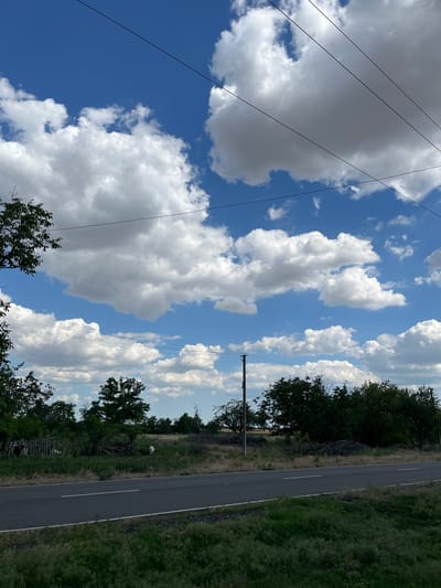 A photograph taken from ground level on a clear day shows a road in Klynkyne, Ukraine. The road is paved and has a white line marking the center. It is bordered by green grass and vegetation. In the background, there is a line of trees and a wooden fence. The sky is blue with scattered white clouds and several power lines are visible. There are two white dogs in the background, one near the fence and another further to the right.