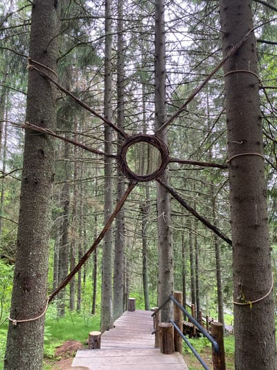 The image depicts an outdoor scene in a forest setting, likely in Lakhdenkiulya, Russia. The primary subjects are several large pine trees, some of which appear to have fallen and are lying horizontally. Suspended between these horizontal trees is a circular, wreath-like object made of woven branches, with several thinner branches radiating outwards like spokes. Rope is used to secure the horizontal trees to each other.
To the right of the trees, a wooden pathway or deck is visible, constructed from planks and supported by logs. A set of stairs made from logs and featuring metal railings ascends from this pathway. The background is filled with a dense forest of tall, thin pine trees, suggesting a natural, wooded environment. The ground cover appears to be lush green grass and ferns, indicating a spring or summer season.
The lighting suggests an overcast or cloudy day, as there are no strong shadows and the light is diffused. No people are visible in the image, and the focus is on the natural environment and the rustic, handmade structure. The overall mood is serene and natural, with a touch of artistic intervention in the form of the branch wreath. There is no visible text in the image.