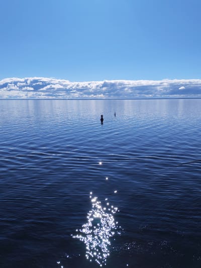 The image captures a serene view of water, likely a lake or a bay, under a sky with scattered clouds. Two navigational buoys or markers are visible in the middle distance of the water, while the foreground is dominated by the sparkling reflections of sunlight. The location is identified as Shchetinskoe, Russia. There are no people visible in the image.