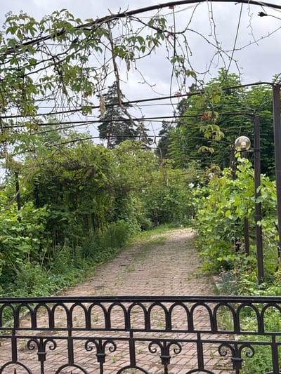 The image depicts a view through a decorative black metal fence, looking at a paved pathway lined with lush green vegetation and climbing plants that are supported by a metal pergola structure. The pathway is made of light brown bricks arranged in a pattern and has small weeds growing in the gaps. On the right side of the pathway, a metal post supports a glass orb light fixture. The background is filled with dense green foliage, trees, and a cloudy sky. The scene appears to be an outdoor garden or park area in the city of Yunost', Russia. There are no people or animals visible in the image.