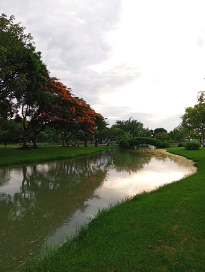The image depicts a serene park scene in Bang Kaeo Subdistrict, Thailand, characterized by a tranquil canal reflecting the overcast sky and lush greenery. On the left bank, mature trees with dark green foliage are interspersed with a tree adorned with vibrant orange-red flowers, creating a striking visual contrast. The canal itself is calm, with a gentle ripple on its surface, and its murky green water reflects the surrounding trees and the sky. The right bank of the canal is covered with neatly manicured, bright green grass, which slopes down towards the water. In the middle ground, a charming arched bridge, covered in dense green foliage, spans the canal, adding a picturesque element to the landscape. Further in the distance, more trees and park amenities, including streetlights, are visible. A few individuals are scattered throughout the park, engaged in leisurely activities such as walking and sitting on the grass, suggesting a peaceful and recreational atmosphere. The overall impression is one of natural beauty and public enjoyment of a well-maintained park.