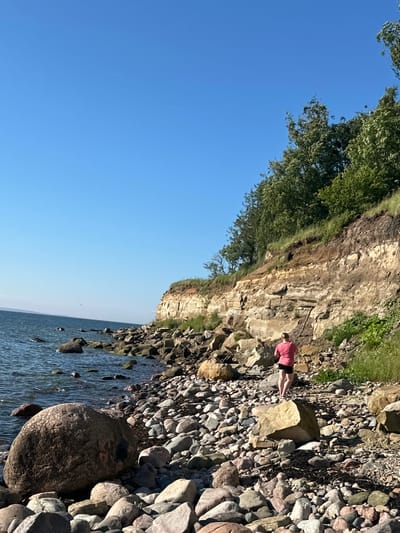 A person in a pink t-shirt and black shorts walks along a rocky shoreline in Tabasalu alevik, Estonia. The person is facing away from the camera. The shoreline is covered in various sizes of rocks and pebbles, with some seaweed visible. To the right of the shoreline, a steep, sandy cliff rises, covered in green vegetation and trees at the top. The sea is calm and blue, with a clear blue sky overhead. There are some large boulders in the foreground of the image.