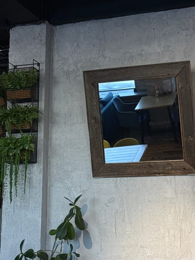 The scene depicts the interior of Kofeynya No. 1, located at Krasnaya Ploshchad, 2/5, Shlisselburg, Leningrad Oblast, Russia. The room features textured light grey walls and a dark ceiling. On the left wall, a black metal grid shelf system holds three tiers of planters filled with various green foliage, including long trailing plants from the lowest tier. To the right, a rectangular mirror with a rustic wooden frame is mounted, reflecting a portion of the cafe's interior. The reflection shows a dark blue upholstered armchair, a light-colored rectangular table, two yellow chair backs, and a window with horizontal blinds. A small condiment holder is visible on the reflected table. The floor in the reflection appears to be light-colored wood. A green leafy plant is partially visible in the lower left foreground, casting a shadow on the wall. No individuals are present or reflected.