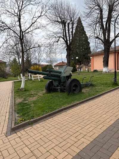 The image displays an outdoor scene, likely a public park or memorial area in Chavdar, Bulgaria. A prominent subject is a green military artillery piece, resembling a cannon or howitzer, positioned on a grassy lawn. It features robust wheels and its barrel points towards the left of the frame.
To the right, a paved walkway, constructed from light-colored rectangular pavers laid in a herringbone pattern with a darker border, extends diagonally through the scene. The lawn is covered in green grass, with sparse yellow flowers visible near the path's edge.
Numerous trees populate the area. Large deciduous trees with bare branches stand on the left and extend upwards against an overcast sky, indicating a colder season like late autumn or early spring. Further back, evergreen trees and more deciduous trees are visible, some with their lower trunks painted white, a cultural practice in the region. Distant buildings with orange-tiled roofs can be seen behind the trees.
Two dark lampposts with spherical white lights are also visible in the midground. The sky is overcast, suggesting a cloudy daytime. No people or visible text are present. The scene is quiet and calm, with no specific activity taking place beyond the static display of the cannon.