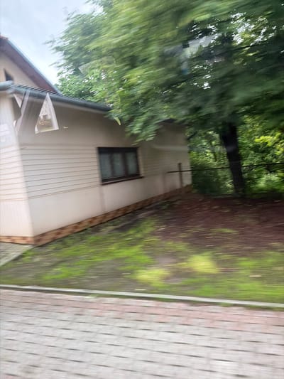 The image shows a blurred view of a light-colored, horizontally sided building with a dark-trimmed window. A dark-colored roofline with a triangular gable is visible at the top left. There is a wooden trim along the base of the building. In front of the building, there is a patchy area of green grass or moss on a brown surface, bordered by a light-colored paved area. Trees with green foliage are visible behind and to the right of the building, with a dark tree trunk prominent. The overall scene appears to be outdoors, possibly in a residential or park-like setting. The blurriness suggests movement, perhaps captured from a vehicle. The location is identified as Wilkowisko, Poland.