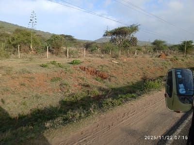 A rural landscape under a partially cloudy sky. Vegetation consists of grass, shrubs, and trees in the midground, extending toward a distant hill. A wooden post fence runs across the midground. Utility lines stretch across the upper part of the frame. The lower right foreground shows the side mirror of a vehicle on a dirt road. The date "2025/11/22 07:16" is displayed in the lower right corner.