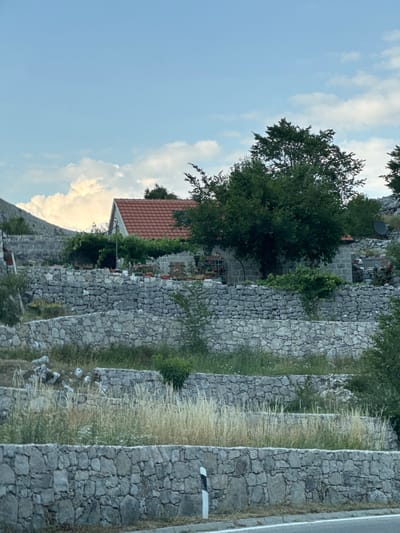 The image depicts a stone house with a red tiled roof situated on a terraced hillside. The terraces are constructed from rough-hewn stones and are planted with dry grass and vegetation. A large green tree stands in front of the house, casting a shadow. In the background, the sky is partly cloudy with hints of blue. The scene appears to be a rural or mountainous area, possibly in or around Kopito, Montenegro, given the characteristic dry stone terracing often found in such regions. There are no people visible in the image.