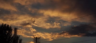 The image captures a dramatic sky over Bash-Kaiyndy, Kyrgyzstan. The clouds are illuminated with warm, golden hues, indicative of either sunrise or sunset, contrasting with darker, shadowed portions of the clouds and a deep blue-gray sky. Several dark, thin wires, likely power lines, stretch horizontally across the frame, obscuring parts of the sky. In the lower left corner, the dark silhouette of a deciduous tree with full foliage is visible, along with the spiky silhouette of a coniferous tree to its right. The overall scene conveys a sense of natural beauty and atmospheric conditions, with man-made elements (the wires) present in the landscape. No people or specific actions are depicted.