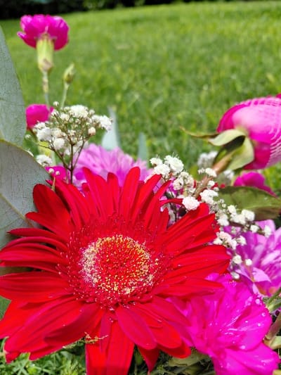 A vibrant, close-up composition features various brightly colored flowers. A prominent, large red gerbera daisy dominates the right side, its center filled with yellow pollen. Pink carnations and a rose bud are present, interspersed with delicate clusters of baby's breath. Green leaves provide a base for the arrangement, while lush green grass fills the background, creating a natural and colorful scene.