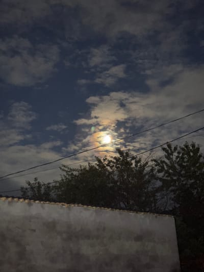 The image captures a nighttime scene with a full moon illuminating the sky, which is partially covered by scattered clouds. The moon appears to have a halo effect, with colorful hues radiating from it. In the foreground, there is a low, textured wall, possibly a boundary or part of a building. Above the wall, silhouetted trees with dark foliage are visible, and power lines stretch across the sky. The overall impression is of a serene, nocturnal landscape in a residential or semi-rural area, potentially in Nogir, Russia, given the context. There are no people or specific actions depicted, focusing solely on the natural and man-made elements of the environment under the moonlight.