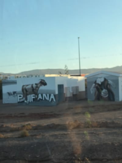 The image shows a series of buildings or structures with murals located near the coast in Puerto del Rosario, Spain. The first mural displays the word "Puifana" vertically, alongside a drawing of a goat. Further along, another structure features an image of a woman with a flower. The backdrop includes mountains.