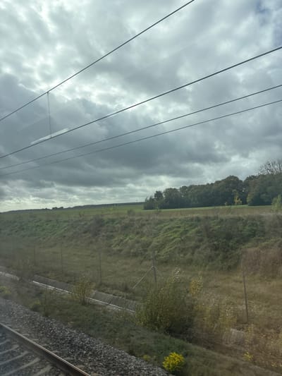 The image captures a rural landscape observed from a moving train, situated near Sainte-Catherine-de-Fierbois, France. The sky is heavily overcast, dominated by dense, grey cloud formations. Three dark, parallel catenary wires for train electrification extend horizontally across the upper portion of the frame, with faint reflections indicating observation through a window.

In the midground, a vegetated embankment slopes downwards from left to right, covered in green and dry yellowish-brown grasses and small bushes. Along the base of this slope, a light grey wire fence, composed of vertical posts and horizontal strands, is visible. Behind the fence, a concrete-lined drainage ditch parallels the railway line. To the mid-left, a flat green field extends towards the distant horizon. To the mid-right, a dense line of trees, primarily deciduous with green foliage, forms a distinct boundary.

The immediate foreground on the lower left displays the gravel ballast and a single steel rail of a railway track, confirming the perspective from inside a train. No individuals, animals, or prominent structures other than the railway infrastructure and fence are visible.