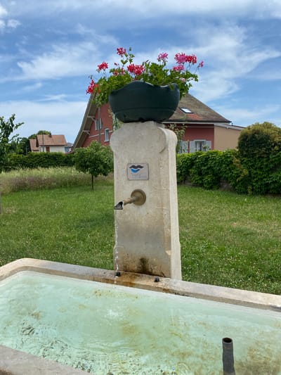The image features a public water fountain in Boudry, Switzerland. The fountain is made of light-colored stone or concrete, with a spout from which water flows into a rectangular basin. A dark green flower pot sits atop the fountain structure, overflowing with red geraniums. A small plaque is affixed to the fountain, though the details are not clear.
The background includes well-maintained green lawn, and beyond that, several residential buildings with red walls and brown tiled roofs, partially obscured by trees. The sky is blue with scattered white clouds. The overall scene suggests a peaceful, well-cared-for public space in a European town.