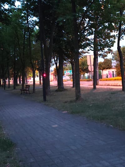 The image shows a paved walkway alongside a grassy area with a row of trees. In the background, across a road, are buildings and signs, including a green directional sign for "Łowicz" and "Gdańsk" with route numbers. There is a traffic light with a red signal illuminated. A dark-colored park bench is visible to the left of the walkway, situated on the grass. The scene appears to be in a public area, likely a park or pedestrian zone, in Stryków, Poland, during dusk or early evening, as indicated by the low light conditions and the illuminated traffic light.