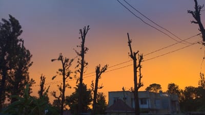 The image depicts a scene in the city of Longuo 'A', Tanzania, during sunset or dusk. The sky presents a gradient from deep blue-purple at the top, transitioning through pink, to a vibrant orange-yellow hue across the horizon. Multiple trees are silhouetted against this bright sky; many in the central and right portions exhibit severe pruning, appearing as dark, bare trunks with short, stubby branches. Taller, denser trees are visible on the far left, and a broad-leafed plant occupies the lower-left foreground. Overhead utility wires, dark against the luminous sky, traverse horizontally and diagonally across the upper and middle sections of the frame. In the midground, slightly right of center, a two-story, light-colored building, likely residential, is visible, featuring windows and an upper-level balcony. A dark, conical roof structure is partially observed in front of the building. No human figures or specific actions are present in the scene.