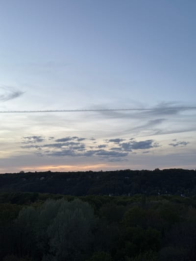 This image, originally oriented vertically, captures a serene natural landscape under a vast sky, indicative of either dawn or dusk. The dominant feature is the sky, which transitions from a clear, light blue at the top to a canvas of varied cloud formations in the middle and lower sections. Wispy cirrus clouds are interspersed with more defined, scattered darker grey clouds. A striking, straight contrail from an aircraft cuts horizontally across the sky, bisecting the cloud layers. Near the horizon, the sky shows faint warm hues of yellow and orange, suggesting the sun is low.
Below the sky, a dense, dark green forest covers a significant hilly or mountainous area, forming a prominent horizon. Within the thick canopy of trees, especially towards the left and center, the faint outlines of houses or buildings can be discerned, indicating a residential area integrated with the natural environment. The abundant foliage suggests a lush, wooded landscape.
No people or specific activities are visible, contributing to a tranquil and expansive atmosphere. The weather appears partly cloudy with clear patches. The scene reflects the natural beauty and verdant surroundings of Gometz-le-Châtel, France, known for its green spaces. There is no visible text in the image.