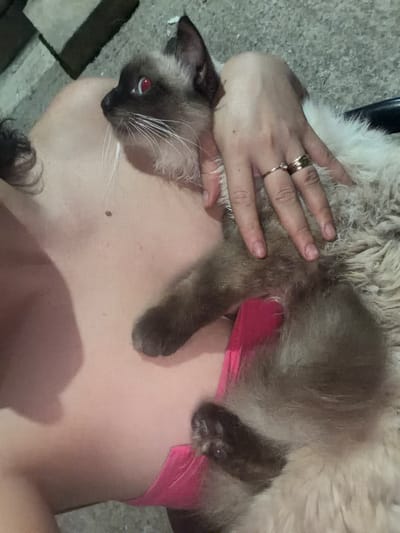 A Siamese cat with striking red eyes is nestled on a person's chest, which is partially covered by a bright pink garment. The cat's paws rest on the person's skin, and its fur is soft and fluffy. The person's hand, adorned with two rings, gently strokes the cat's back. The background appears to be an outdoor setting with a textured surface, possibly a patio or walkway, with some dark and light rectangular elements suggesting paving stones or a low wall. The lighting is dim, creating shadows and highlighting the contrast between the cat's dark markings and its lighter fur. The location is specified as Carpignano Salentino, Italy.