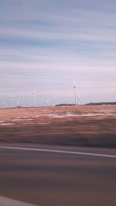 The image displays a rural landscape, likely near Nowa Dąbrowa, Poland, captured from a moving vehicle. The foreground features a dark asphalt road with a single white solid lane line, exhibiting horizontal motion blur. Beyond the road, a wide, dormant agricultural field stretches into the midground, characterized by brown and tan vegetation and scattered lighter patches, also rendered with significant horizontal motion blur. In the background, ten to twelve white-colored wind turbines with three-bladed rotors are distributed across the field's horizon. A faint treeline is visible behind the turbines on the right. The sky is a light blue-gray with subtle horizontal cloud patterns, indicating an overcast condition. No people are visible.