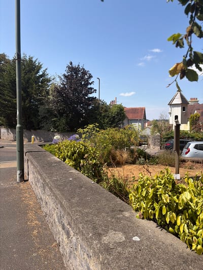 The image captures a sunlit street scene with a low stone wall in the foreground. Beyond the wall, a garden area features a variety of green plants, some with yellowing leaves, and dried grass. In the background, residential buildings with tiled roofs are visible, along with trees and a birdhouse on a wooden pole. Two cars are parked on the street, and a lamppost stands to the left of the frame. The sky is clear blue with a few small clouds. The scene appears to be a quiet residential street in Torquay, United Kingdom, given the architectural style of the houses and the presence of a lamppost typical of UK streets. There are no people or animals visible in the image.
