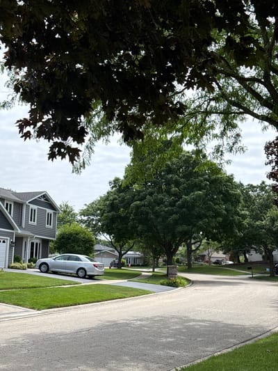 This media file captures a suburban street scene in Woodridge, United States of America. The foreground is dominated by the dark, leafy branches of a large tree, creating a shadowed canopy. Beyond this, a paved road curves to the right, bordered by a neatly manicured lawn. A silver sedan is parked on a driveway alongside the road, its presence suggesting a residential area.
In the background, several houses are visible, characterized by gray siding and white-trimmed windows, indicative of contemporary suburban architecture. Lush green trees and bushes are scattered throughout the scene, contributing to the overall verdant and well-maintained aesthetic of the neighborhood. The sky is overcast, with soft, diffused light, suggesting either early morning or a cloudy day. There are no people visible, and the overall mood is quiet and peaceful, characteristic of a typical residential street. The image is oriented vertically, giving a sense of looking up through the trees towards the sky and street.